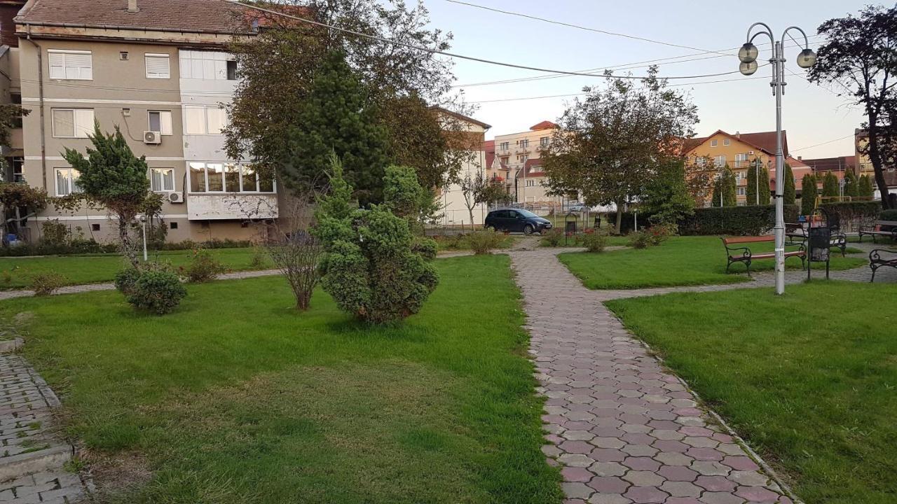 Apartament Ema Băile Felix Екстериор снимка